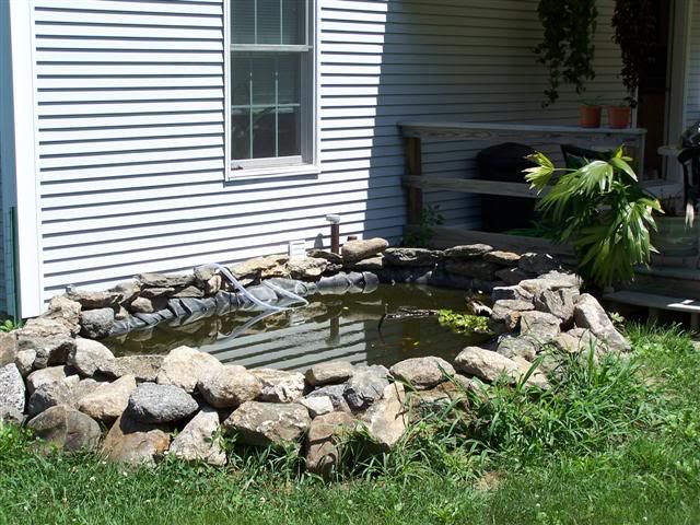 100_0643Small.jpg