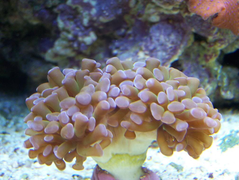 100_0670.jpg