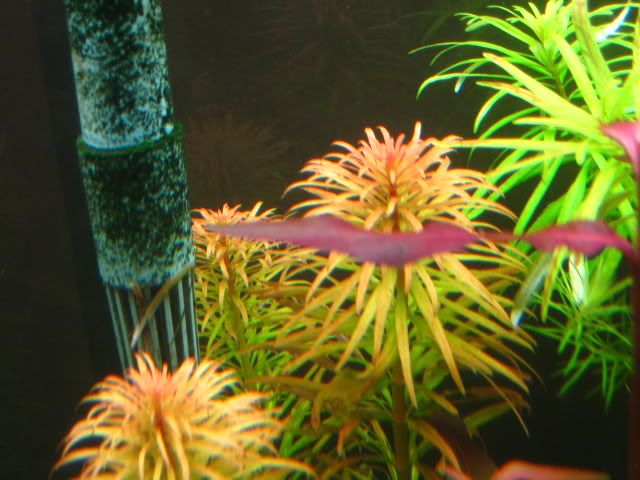 11-5-09024.jpg