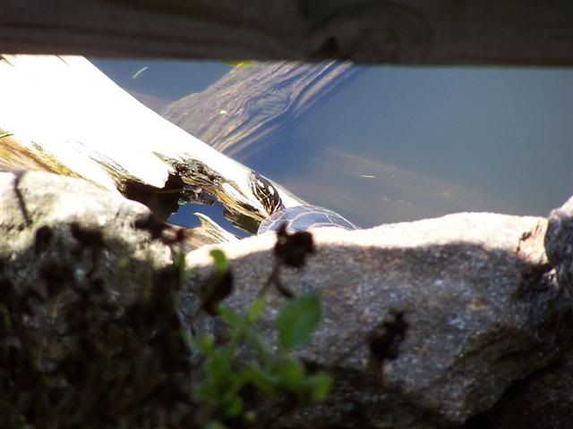 100_0640Small.jpg