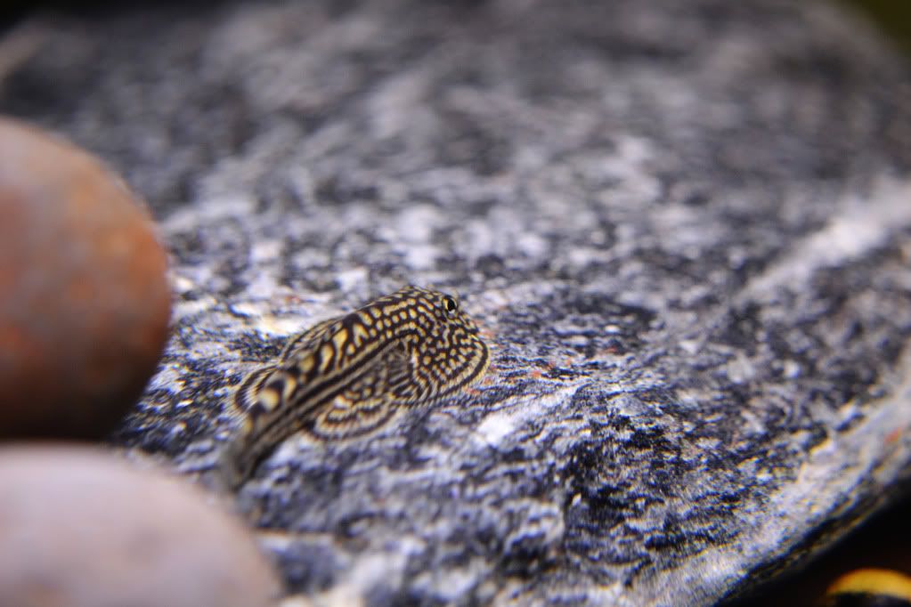 DSC_0491.jpg