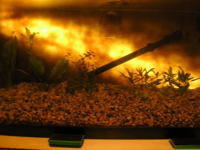 Picture014-1.jpg