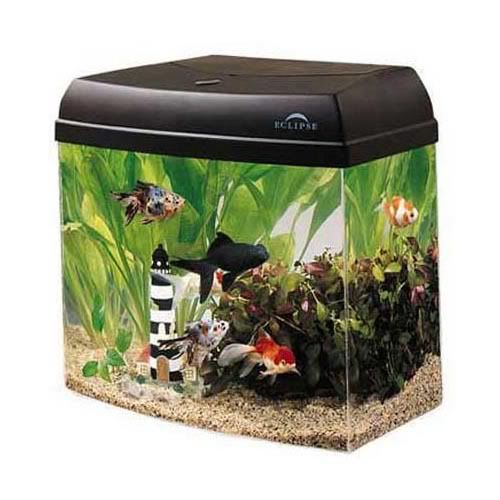 6gallon.jpg