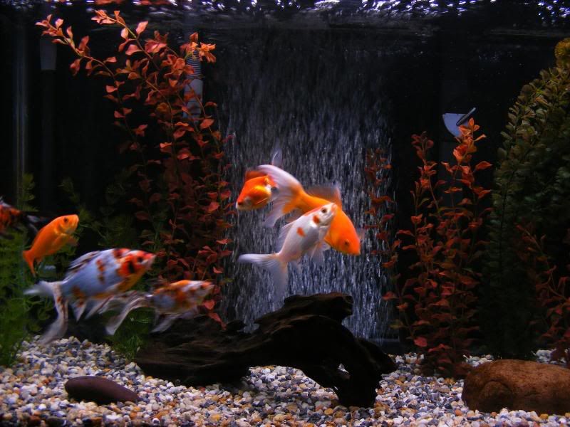 DSCF4531.jpg
