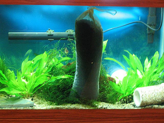 10gal.jpg