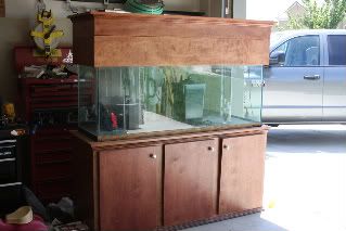 Aquarium001.jpg
