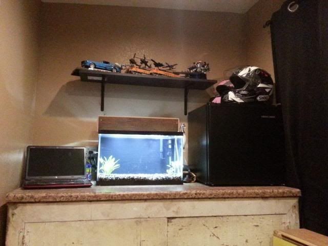 2013-08-27211630_zps3819aebb.jpg