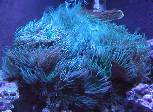 5138730590_ee3b0143a4.jpg
