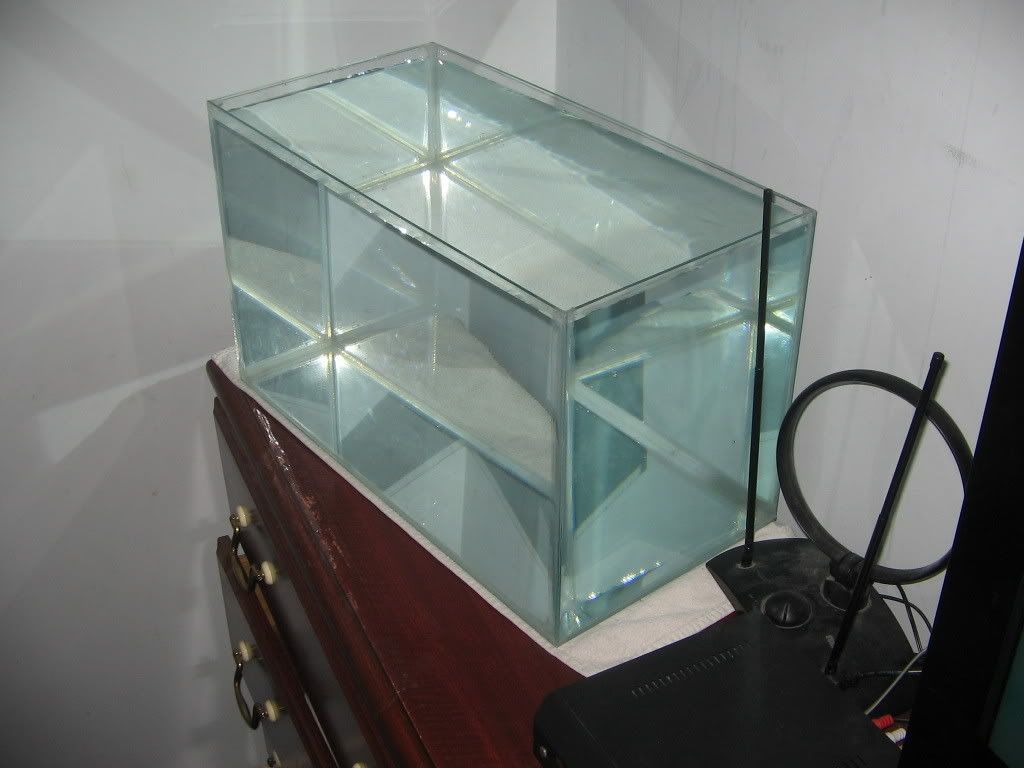 10ada004.jpg