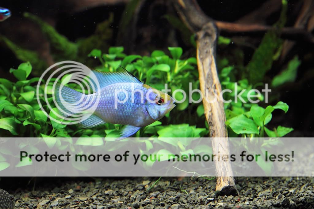 PictureT1i_3079_2.jpg