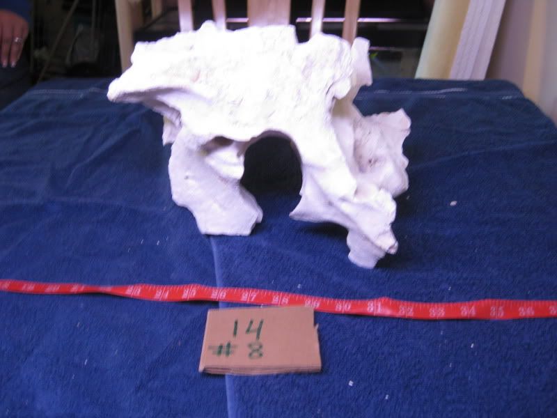 016-12.jpg