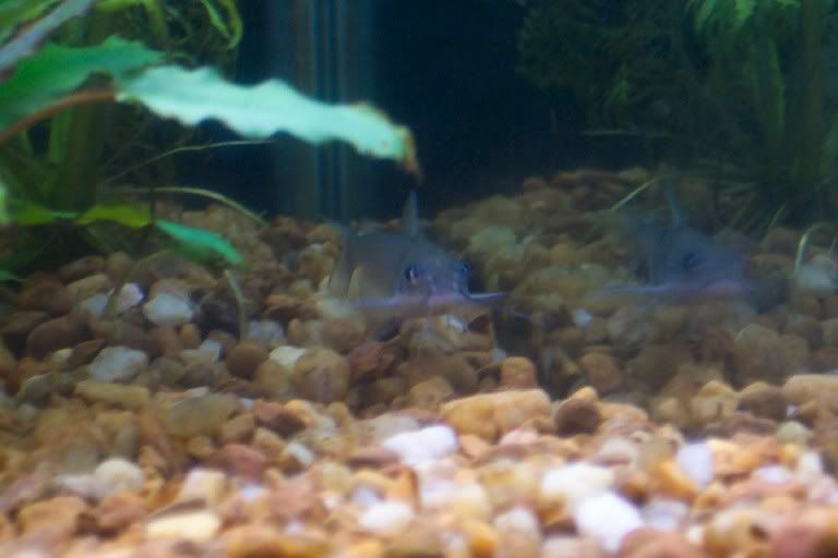 100_1777.jpg