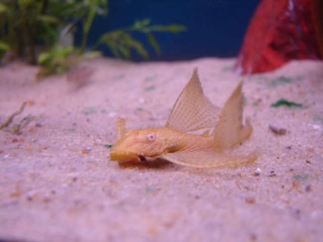 DSC05844.jpg