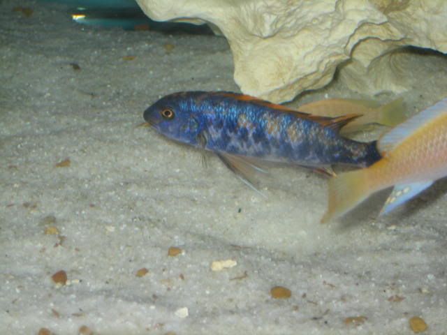 023-1.jpg