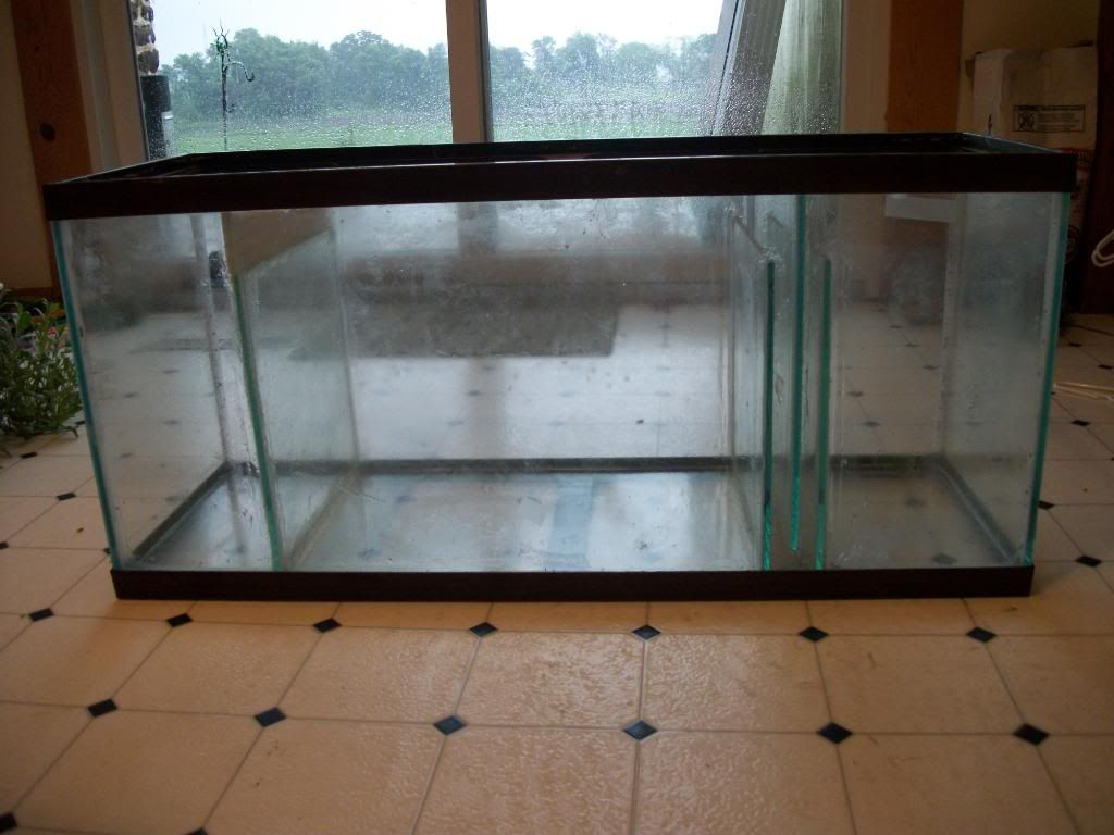 020-3.jpg
