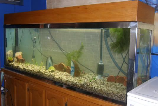 tank-07172006.jpg