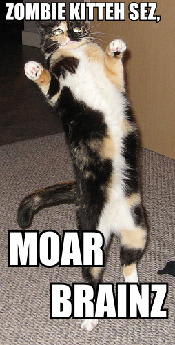 zombiekitty.jpg