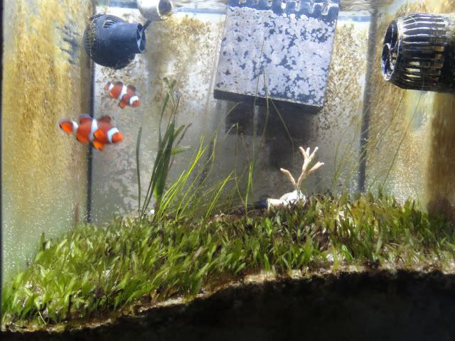 DSC00035.jpg