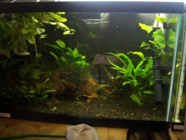 rescape006.jpg