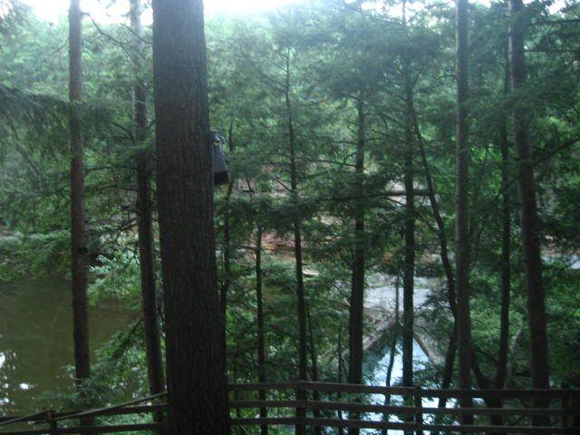 Picture069.jpg