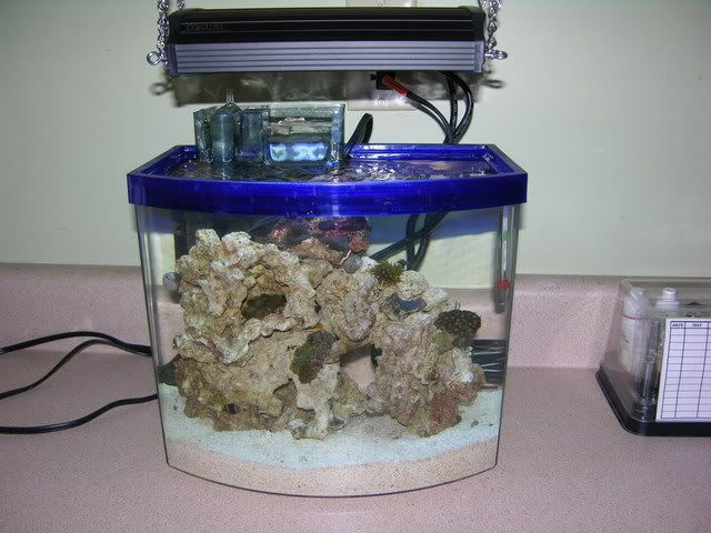 001-1.jpg