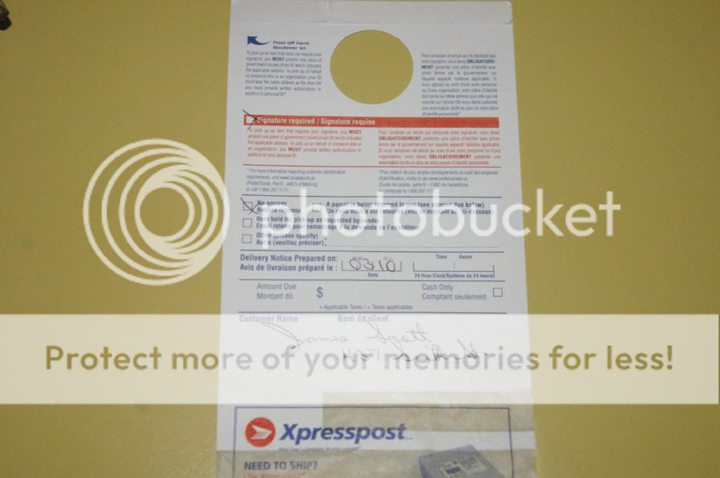 IMGP7793.jpg