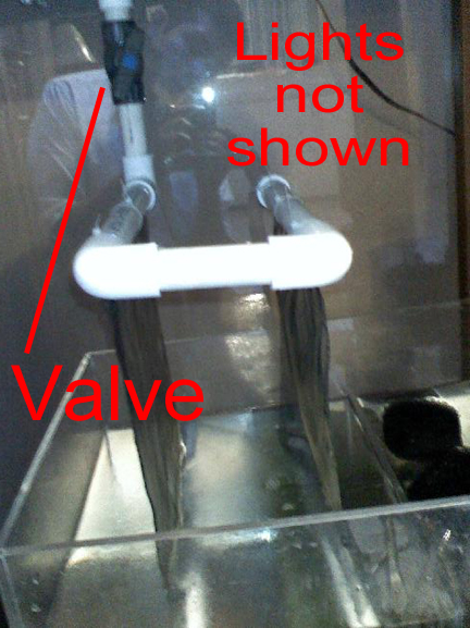 UserCesarRoshOnAR-1.jpg