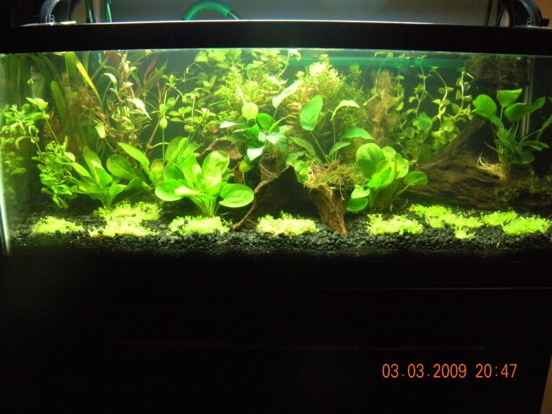 DSCN0610.jpg