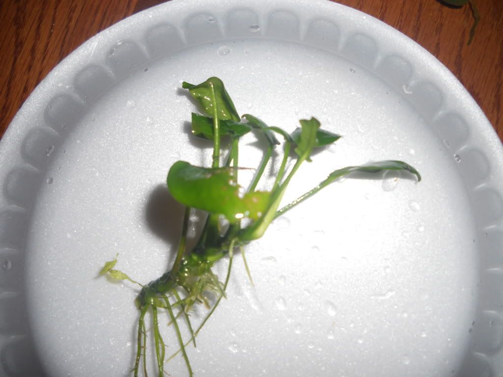DSCN6108.jpg