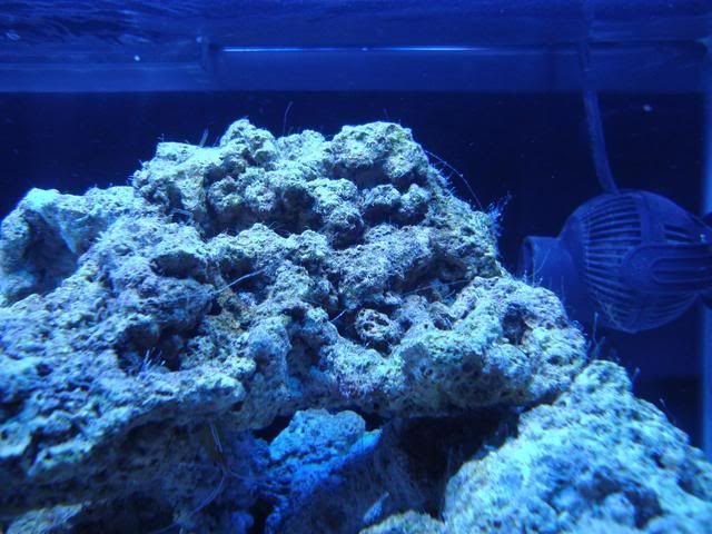 CaymanIsland077.jpg
