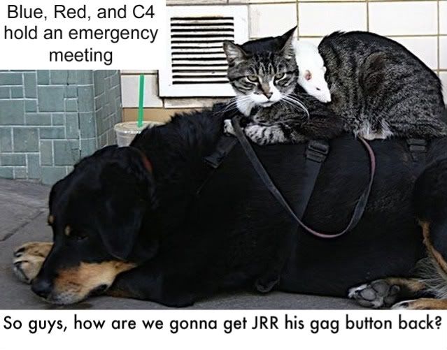 dogcatrat.jpg