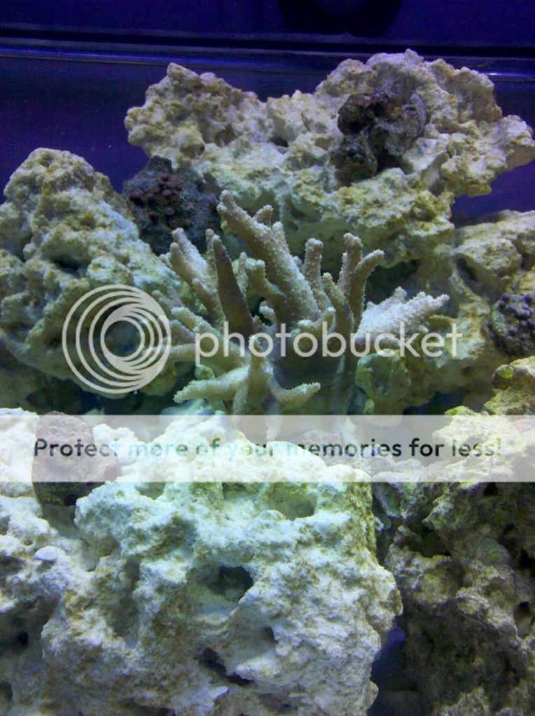 IMG_20120620_114811.jpg