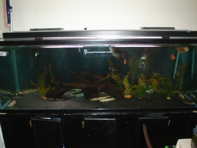 DSC07899.jpg