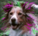 bh-addie.jpg