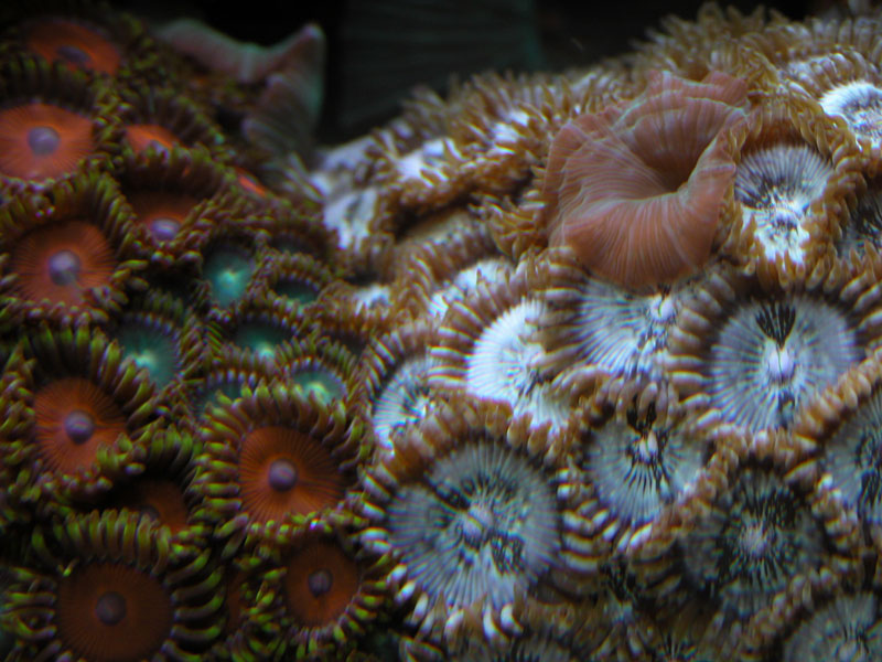 2855071570_a088cc8d89_o.jpg