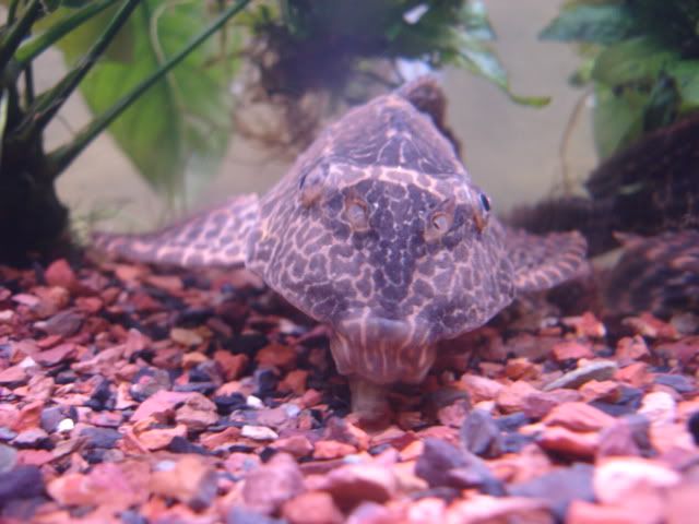 DSC03811-1.jpg