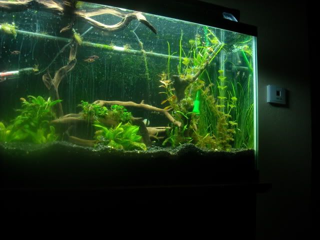 DSCN2776.jpg
