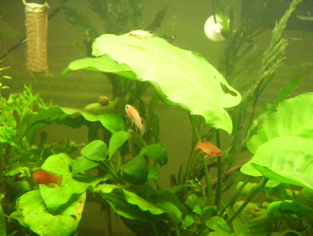 100_4669.jpg