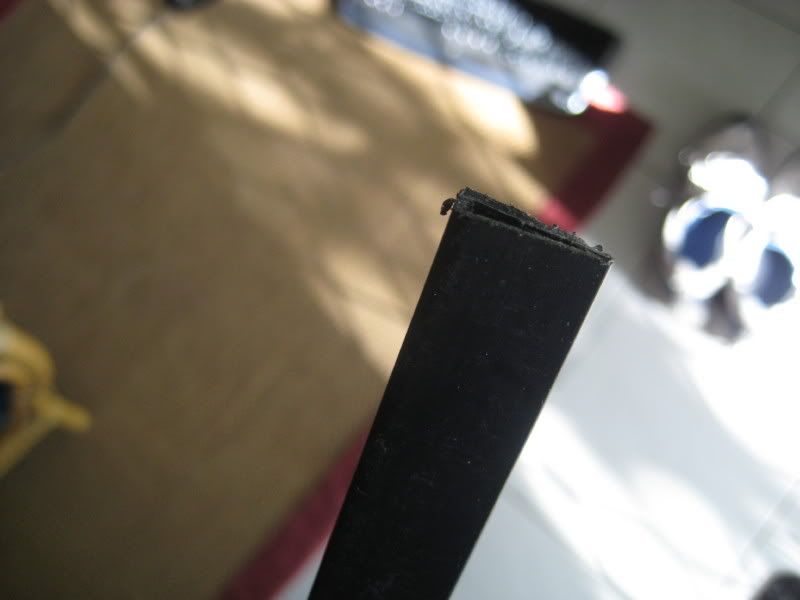 IMG_1239_10.jpg