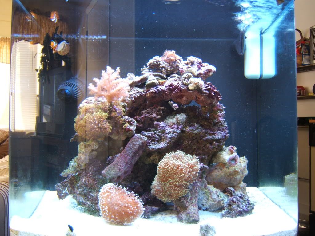 DSCF1668.jpg