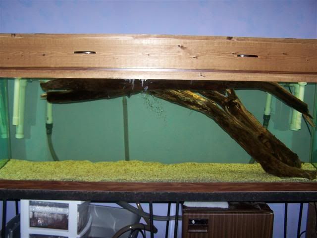 100_0634Small.jpg