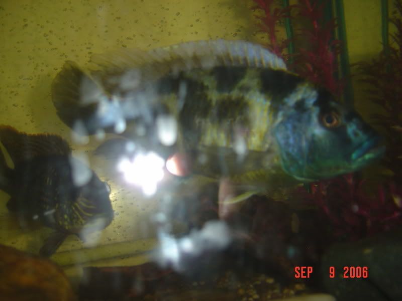 DSC02270.jpg