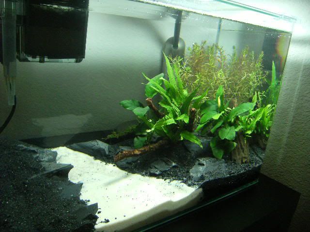DSCF9123.jpg