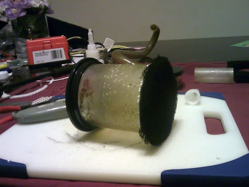 IMAG0101.jpg