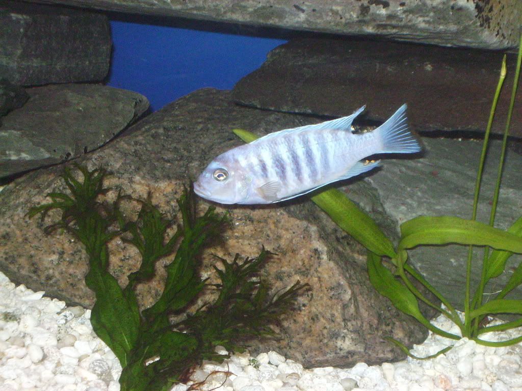 SANY1307.jpg