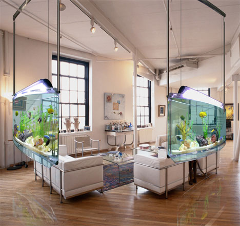 asp_aquarium_2.jpg