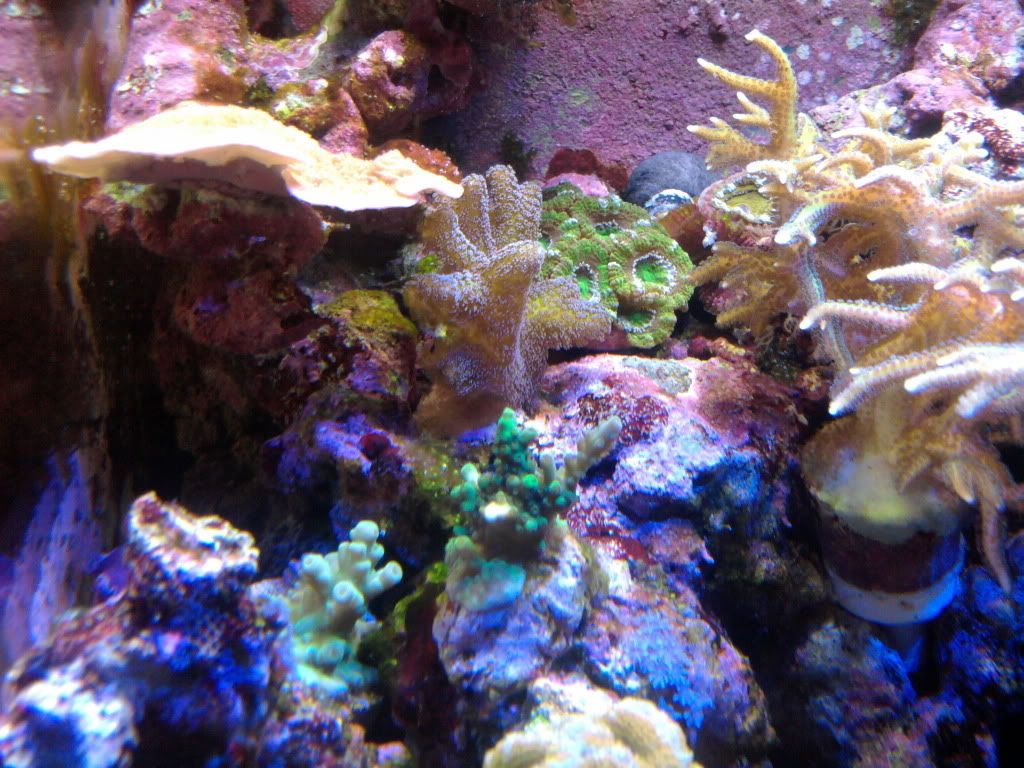 IMG_20110823_144120.jpg