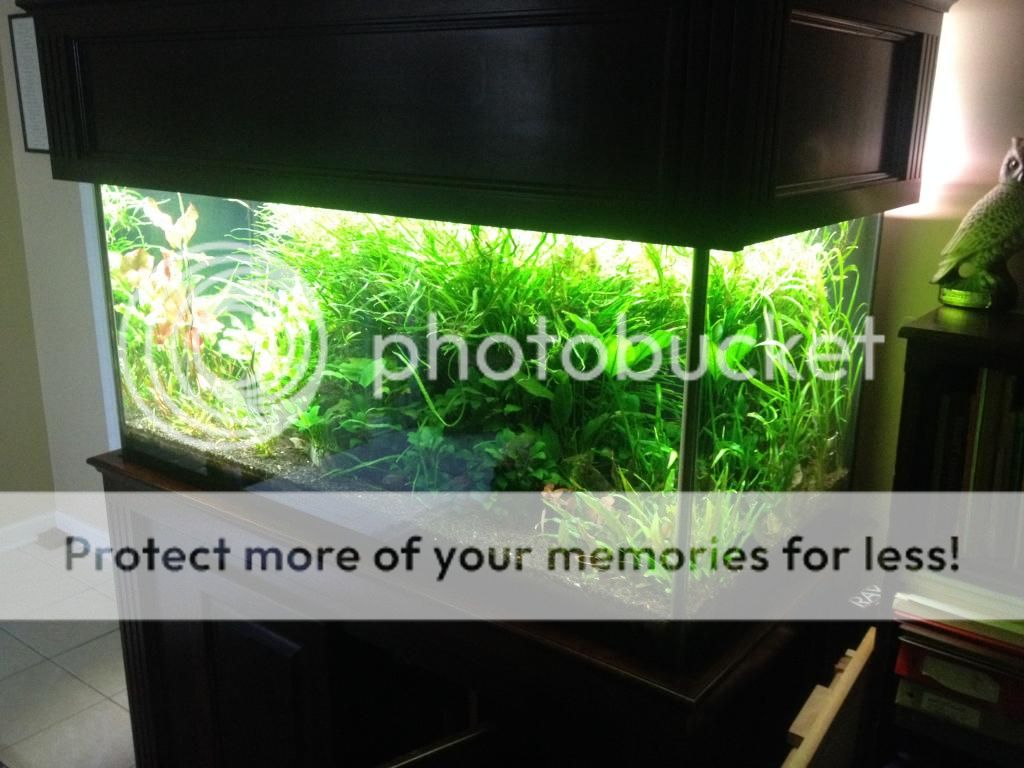 IMG_40401_zps6db391ed.jpg