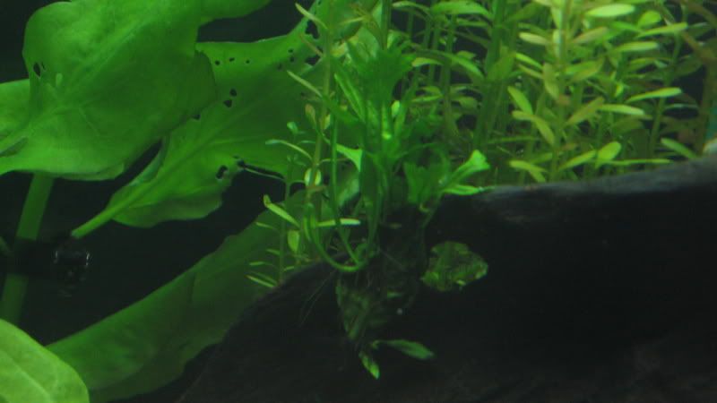 IMG_1663.jpg