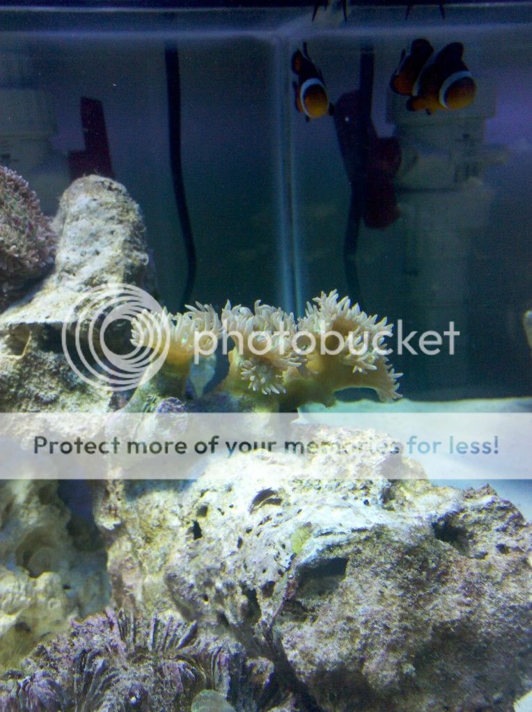 IMG_20120620_114847.jpg